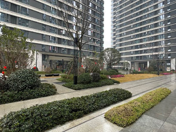 比亚迪唐L售22.98万起，5分钟充电400公里