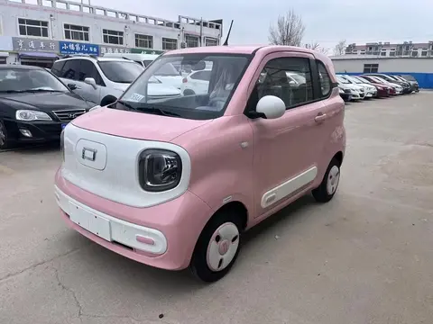 2026年会不会变成微型电车的“寒冬”？